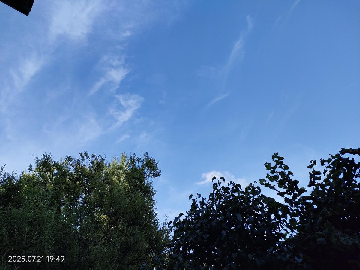 IMG20250721194942