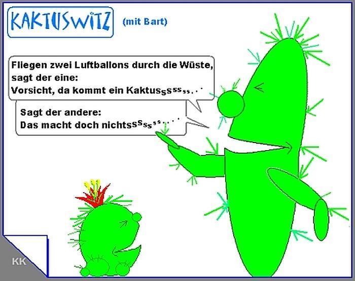 Witzxy 2