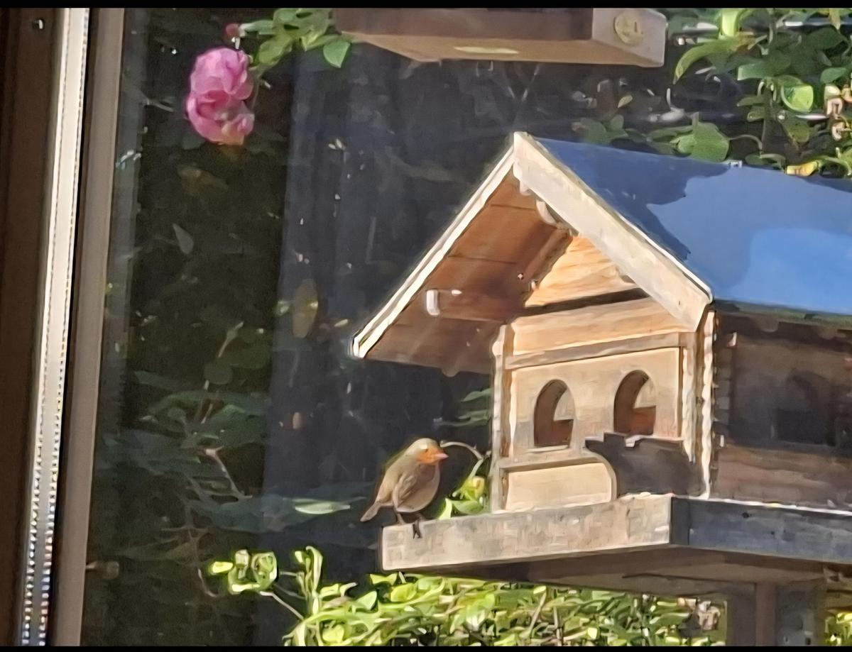 Screenshot 20251112 071024 Gallery