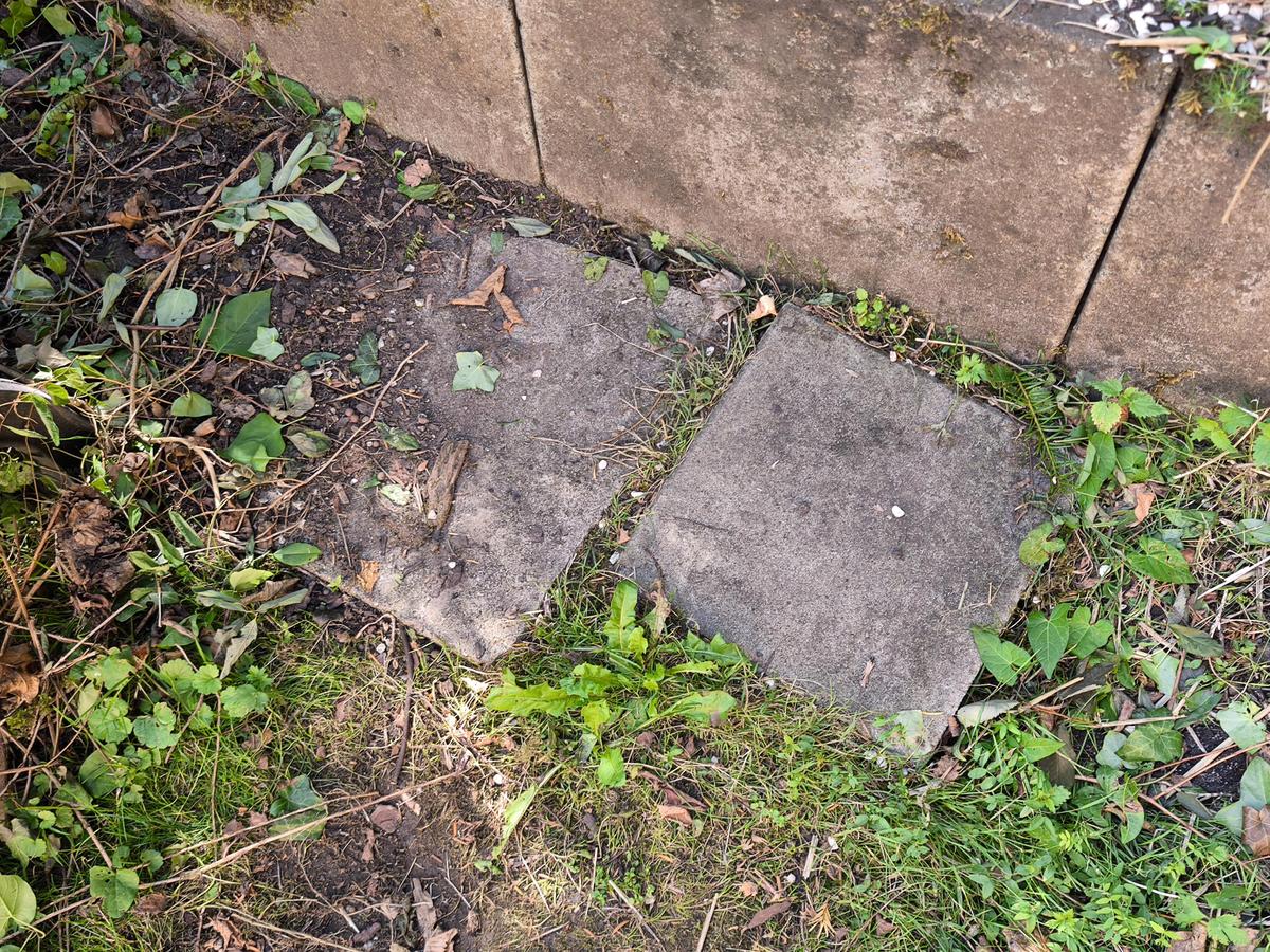 IMG 20260722 102819