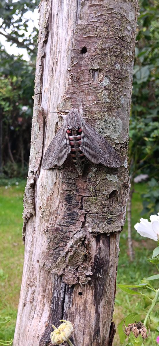 20240917 150534