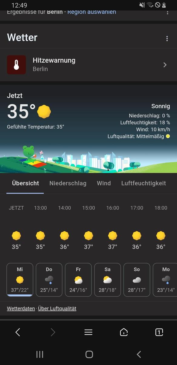 Screenshot 20250702-124917 Web Browser