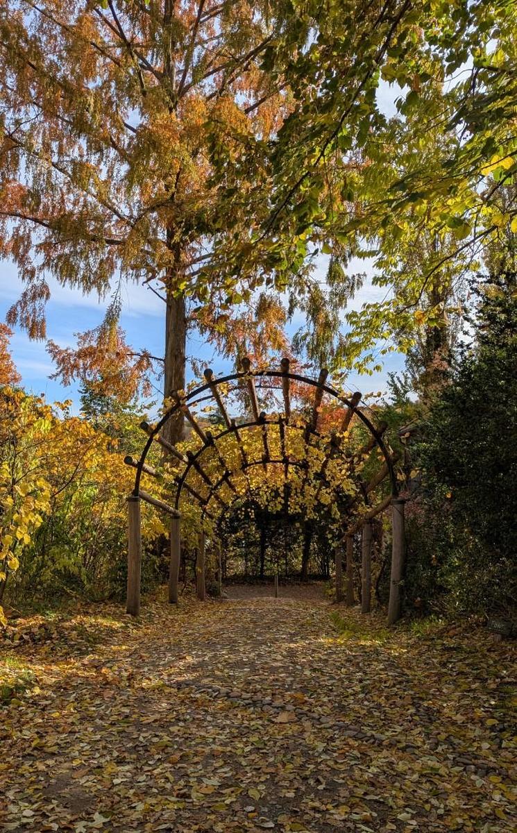 2368badb-2a1d-45ec-b867-c155611e793c