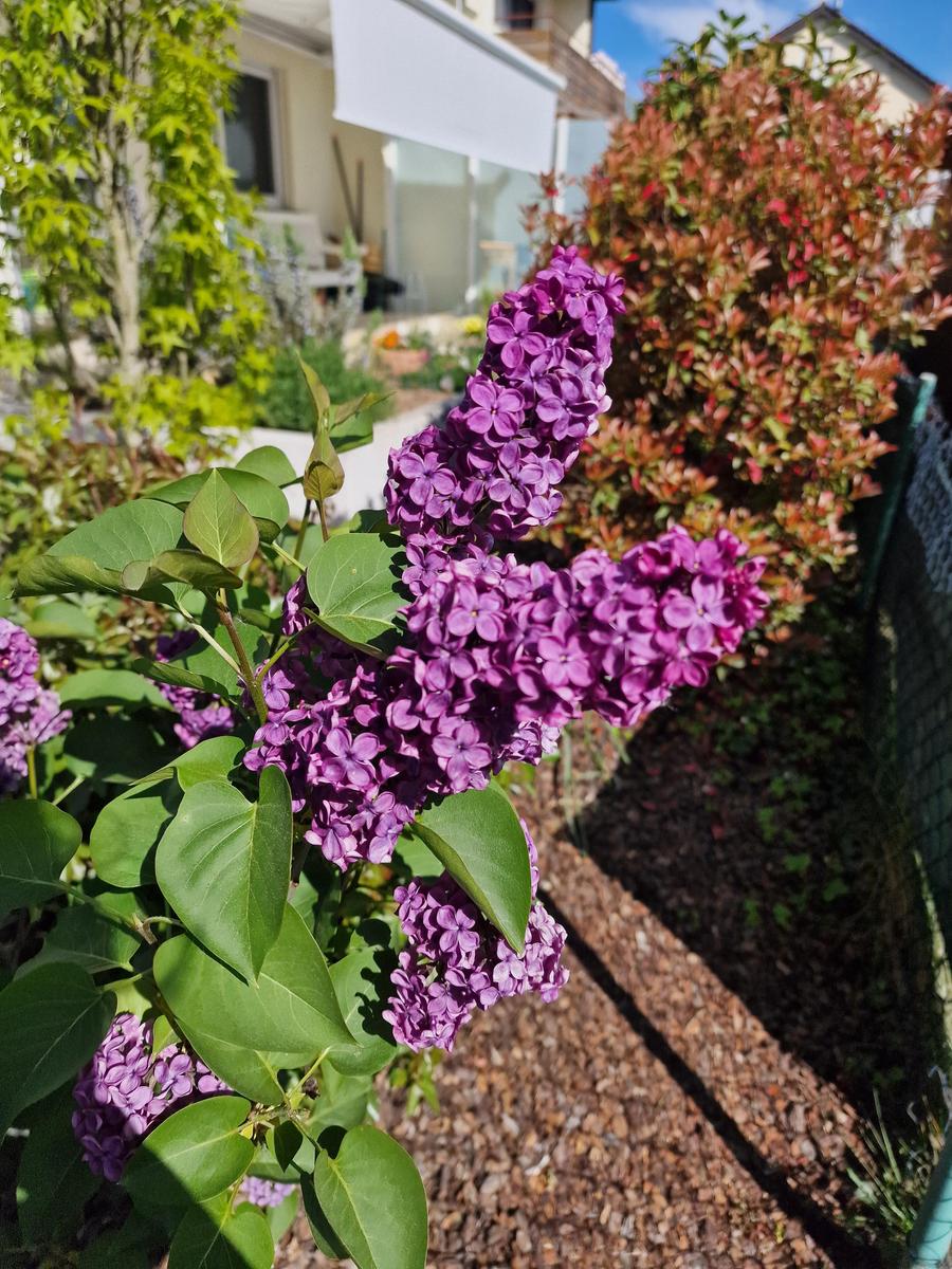 20260426 161311