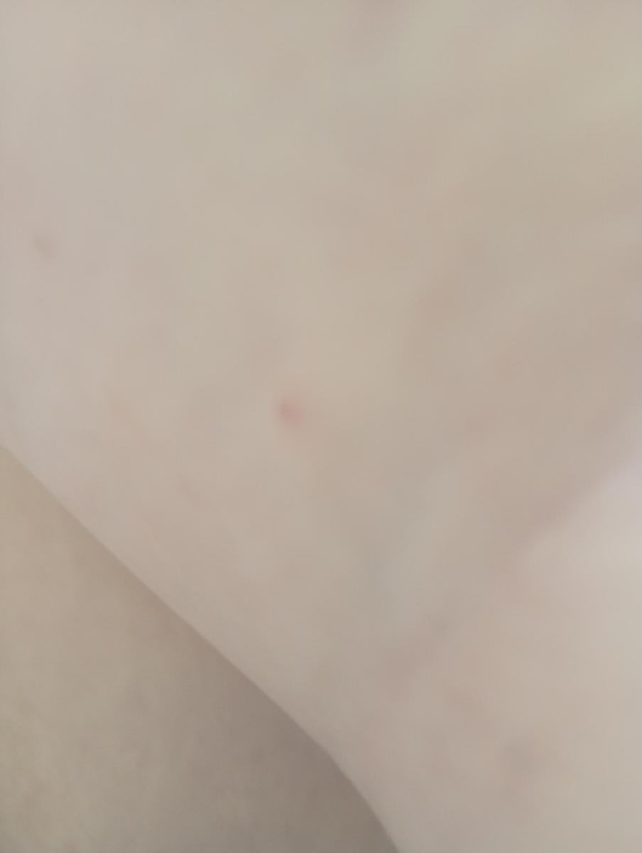 IMG 20260903 104622152 MFNR