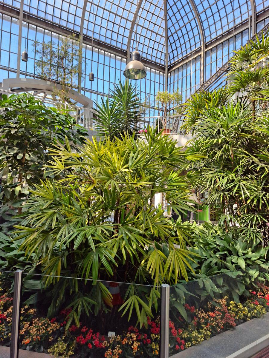 Palmengarten 002