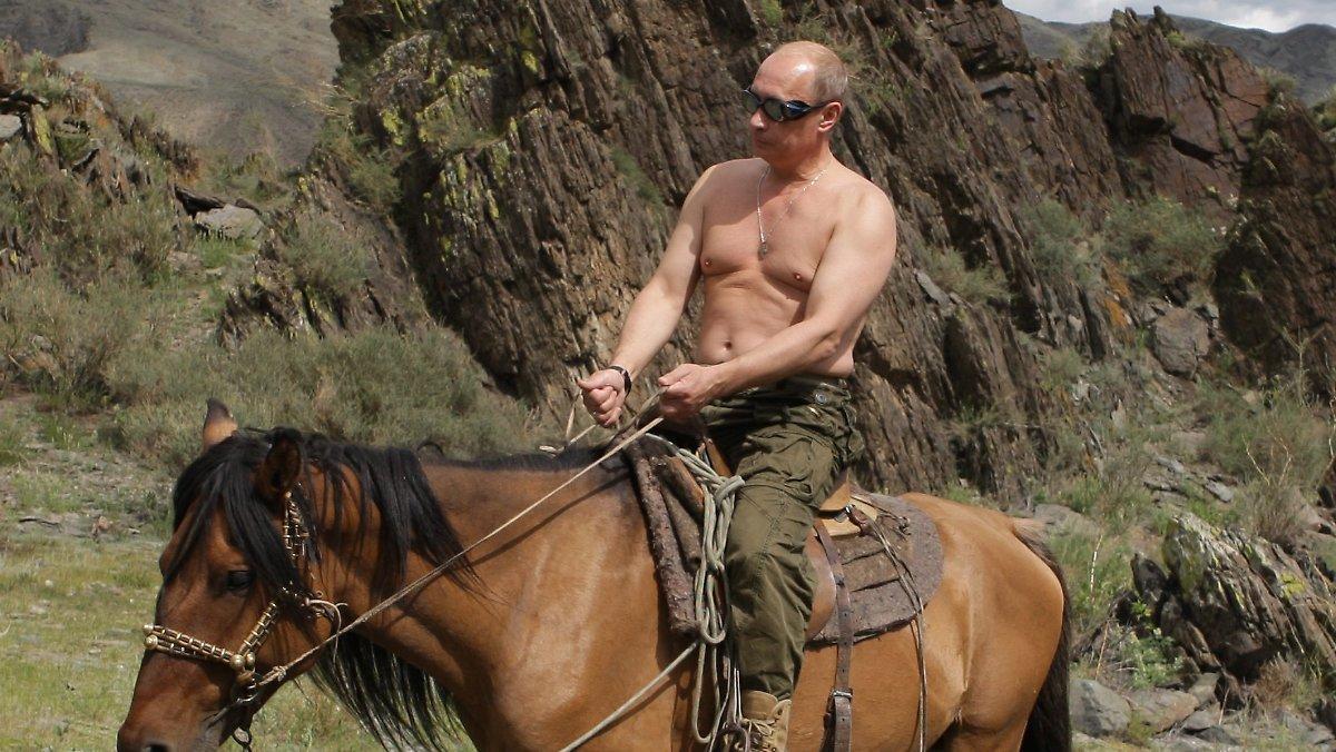 putin-pferd