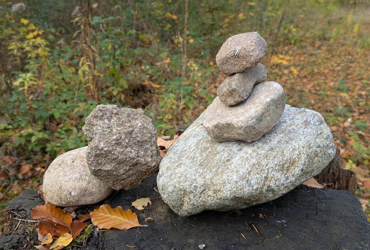 c1683572-8776-4096-b161-96bee08f71cd cop