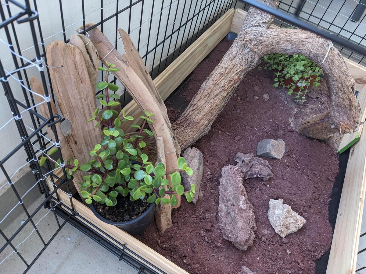 outdoorenclosurewithplants