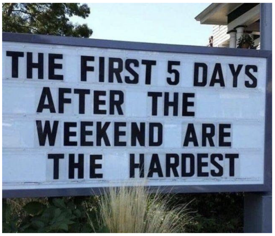 6951852-b500a71f76c84926de04cc7dda264b3d