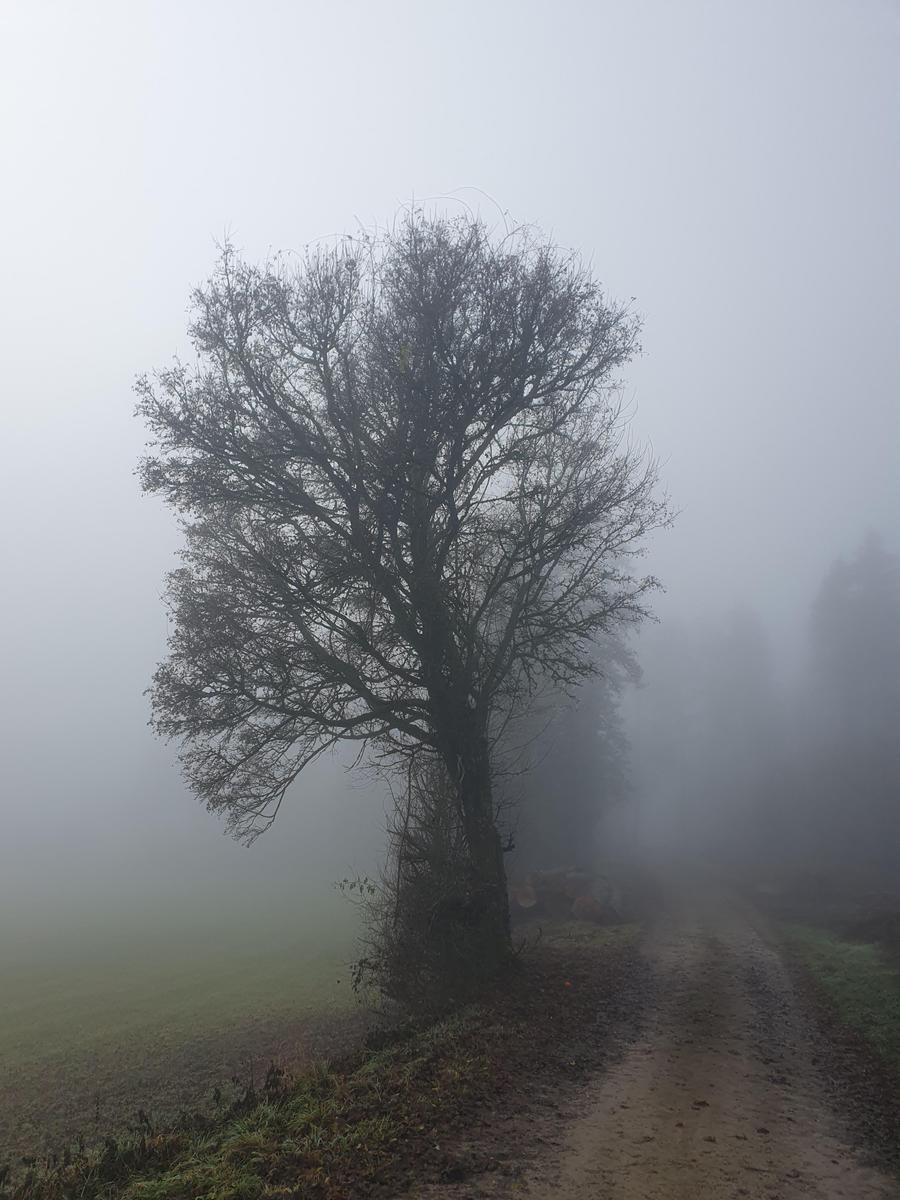 17654490557355353934521943954967