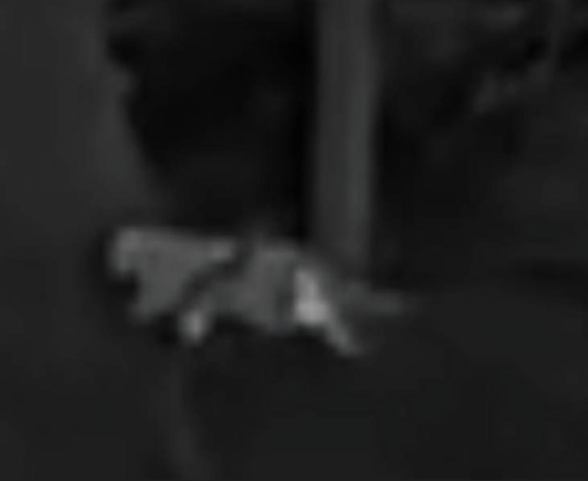 Screenshot 20251112 164247 Samsung Inter