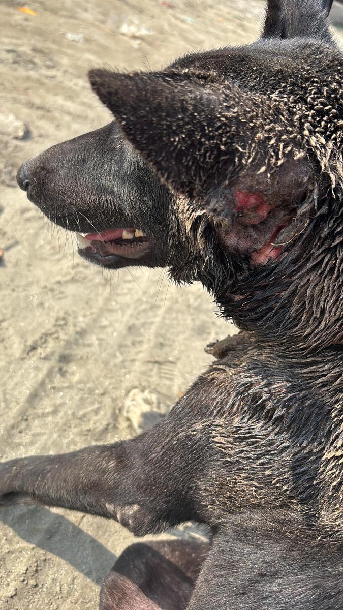 2C967B06-3CEB-40C3-9BEA-D703A5722A89