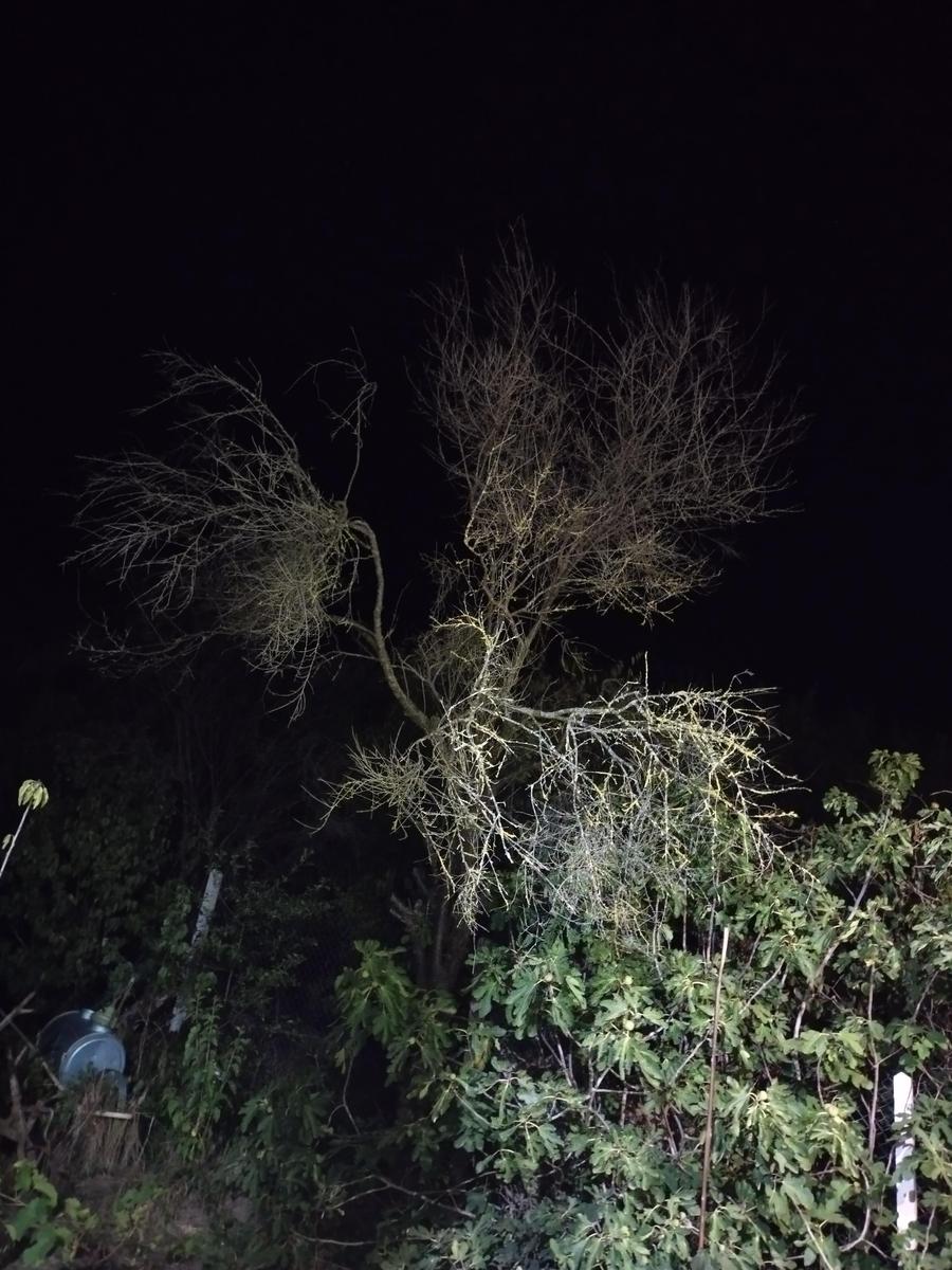 IMG 20230904 214134 HDR