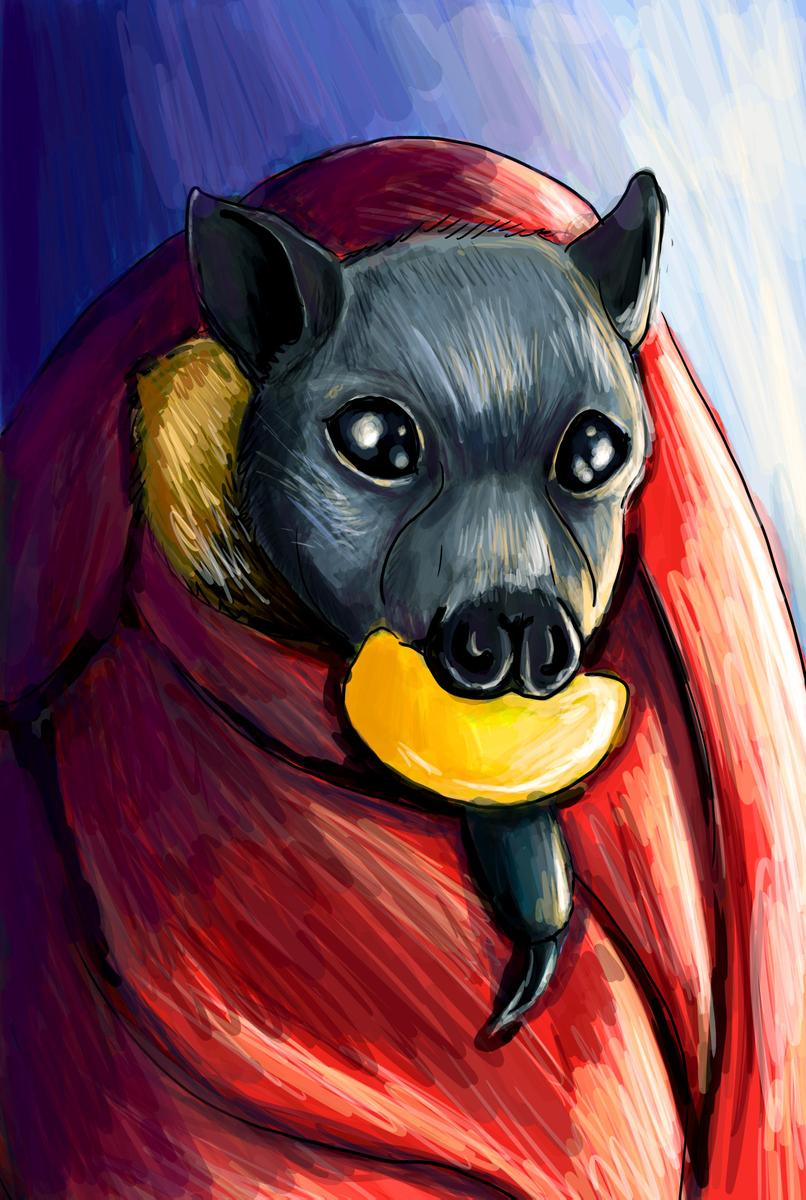 fruitbat2