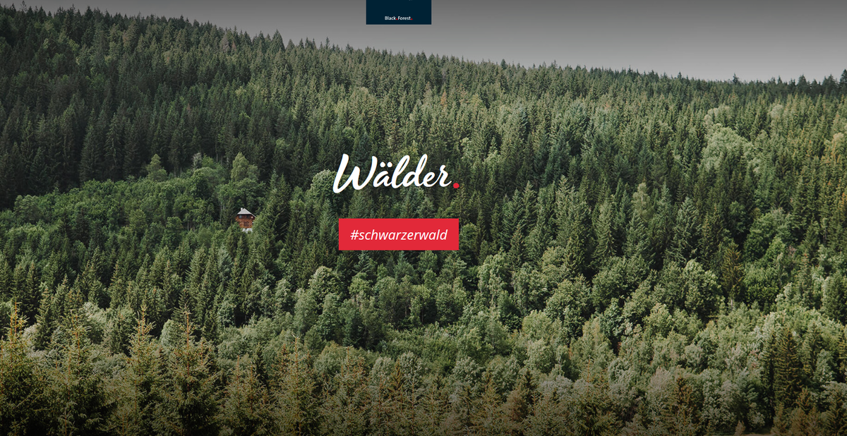 Screenshot 2025-12-18 194607