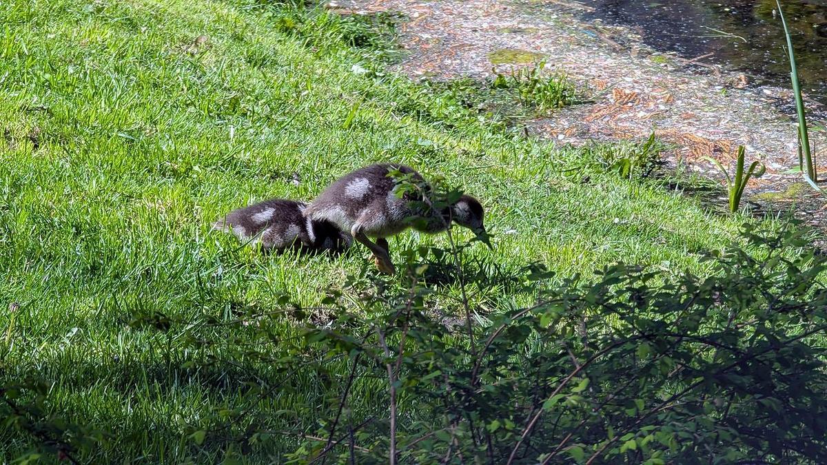 7256bbf6-e5c4-4103-a4ac-e6ece2591ede