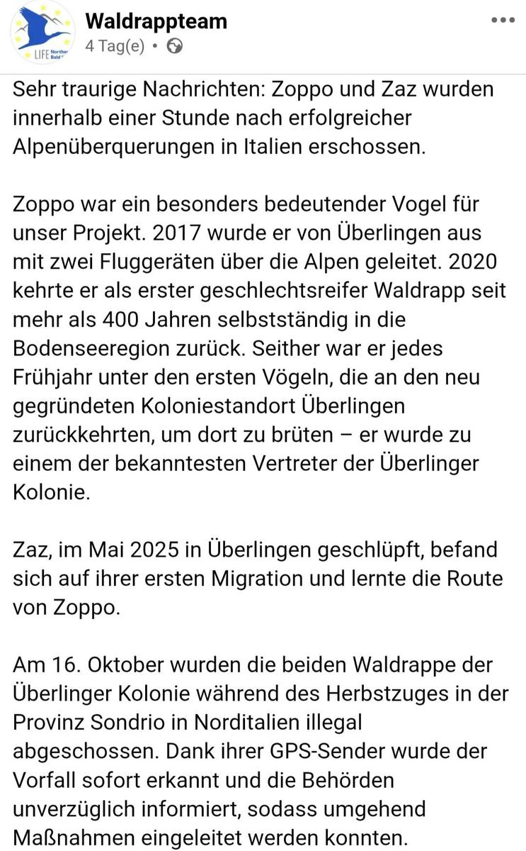 Screenshot 20251031 174228 Chrome