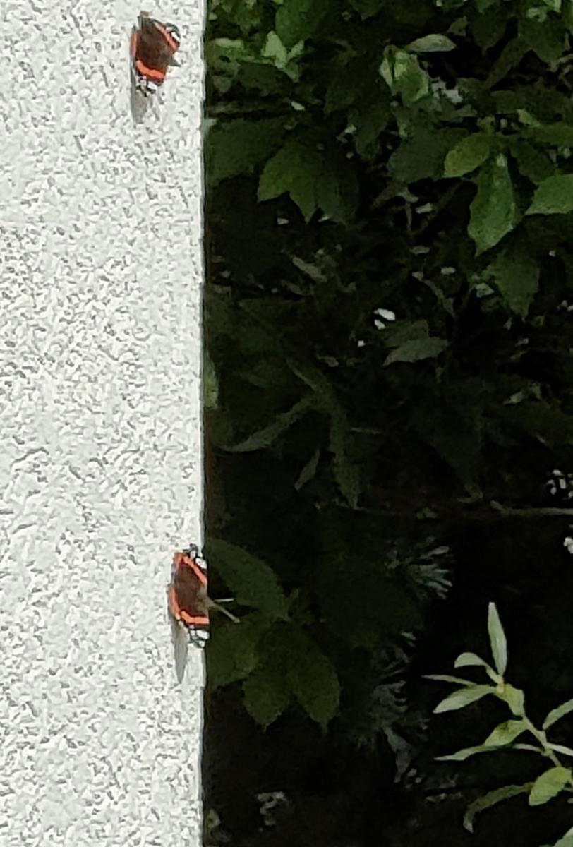 IMG 20250909 133055