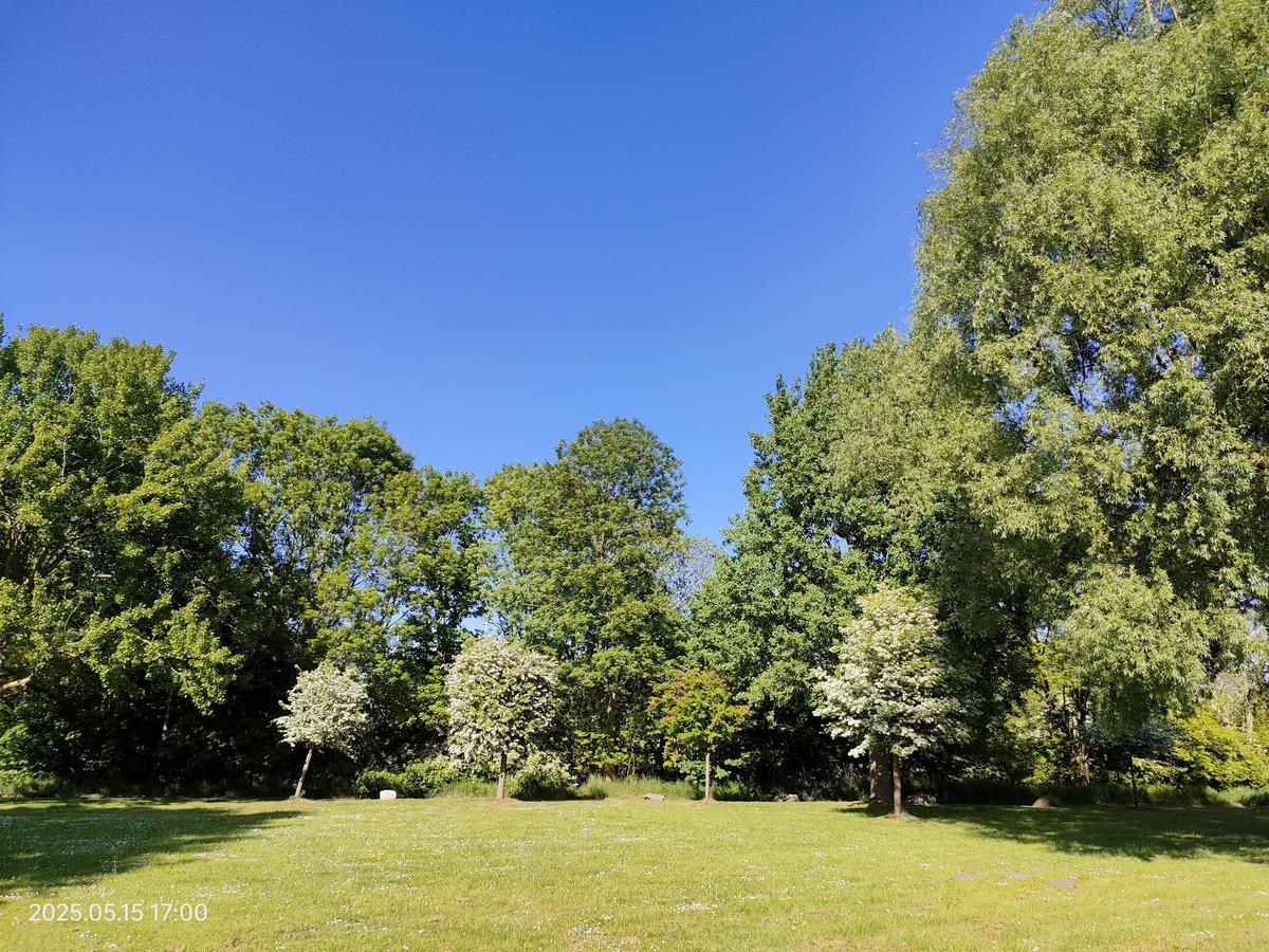 IMG20250515170029