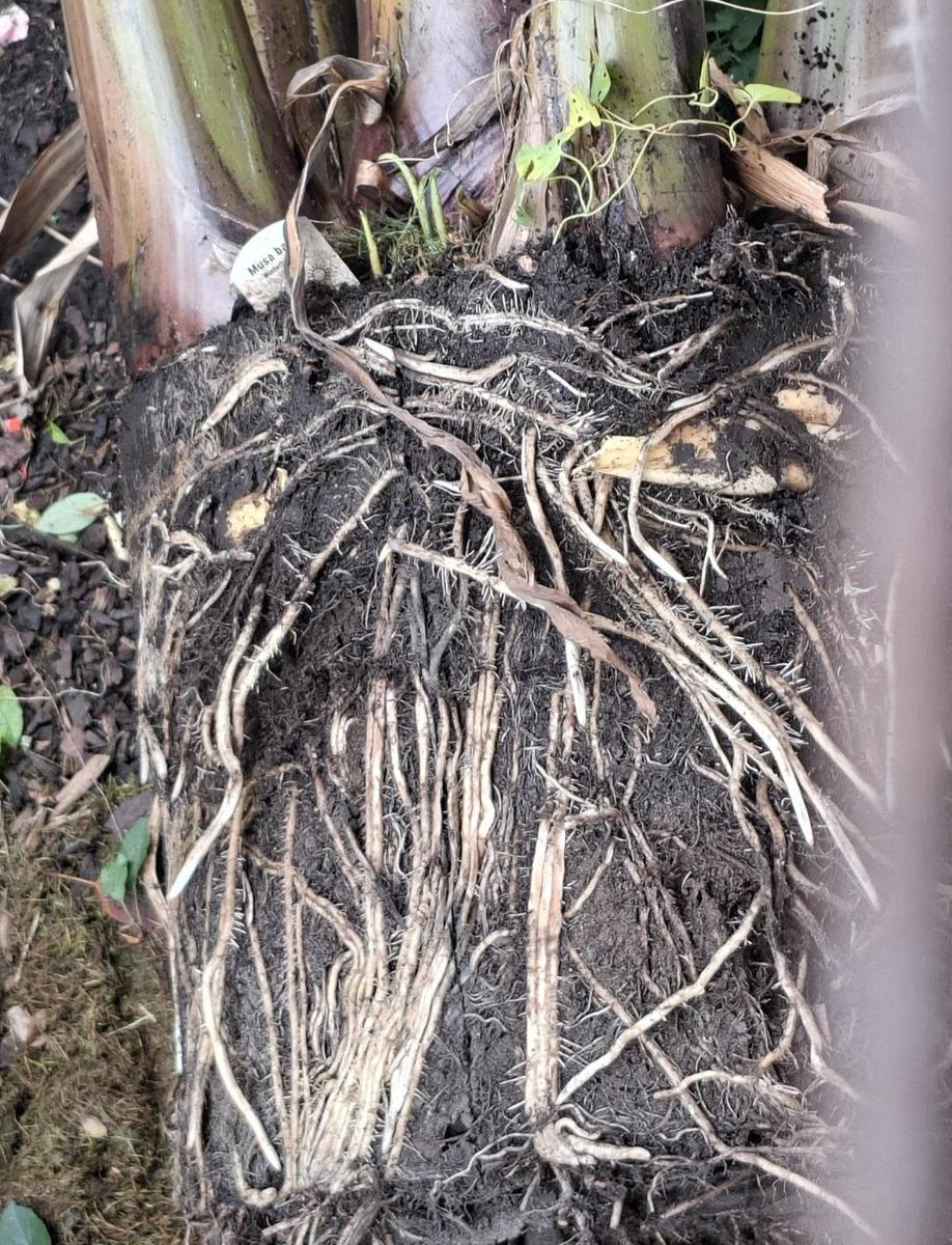 Screenshot 20251025 201817 Gallery