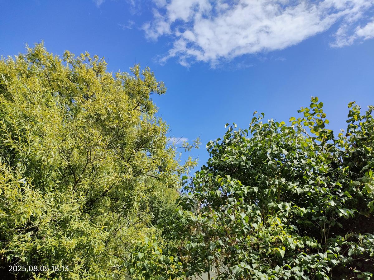 IMG20250805151351