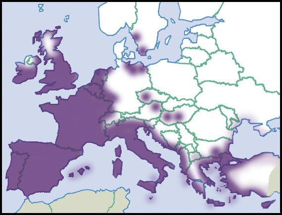 Helix-aspersa-map-eur-nm-moll