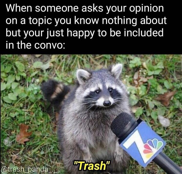 trash meme - Copy