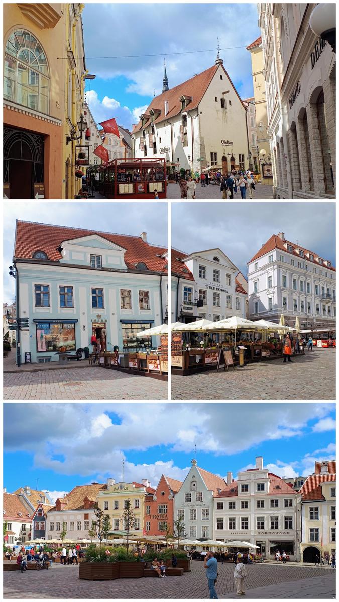 20260901 175942-COLLAGE