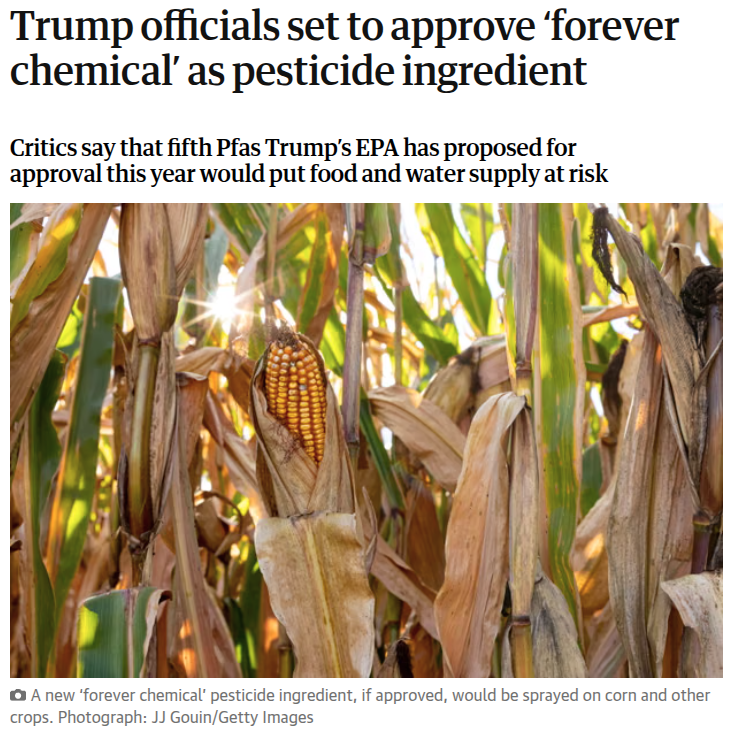 2025-11-11-08-36-06 TempScreenshot