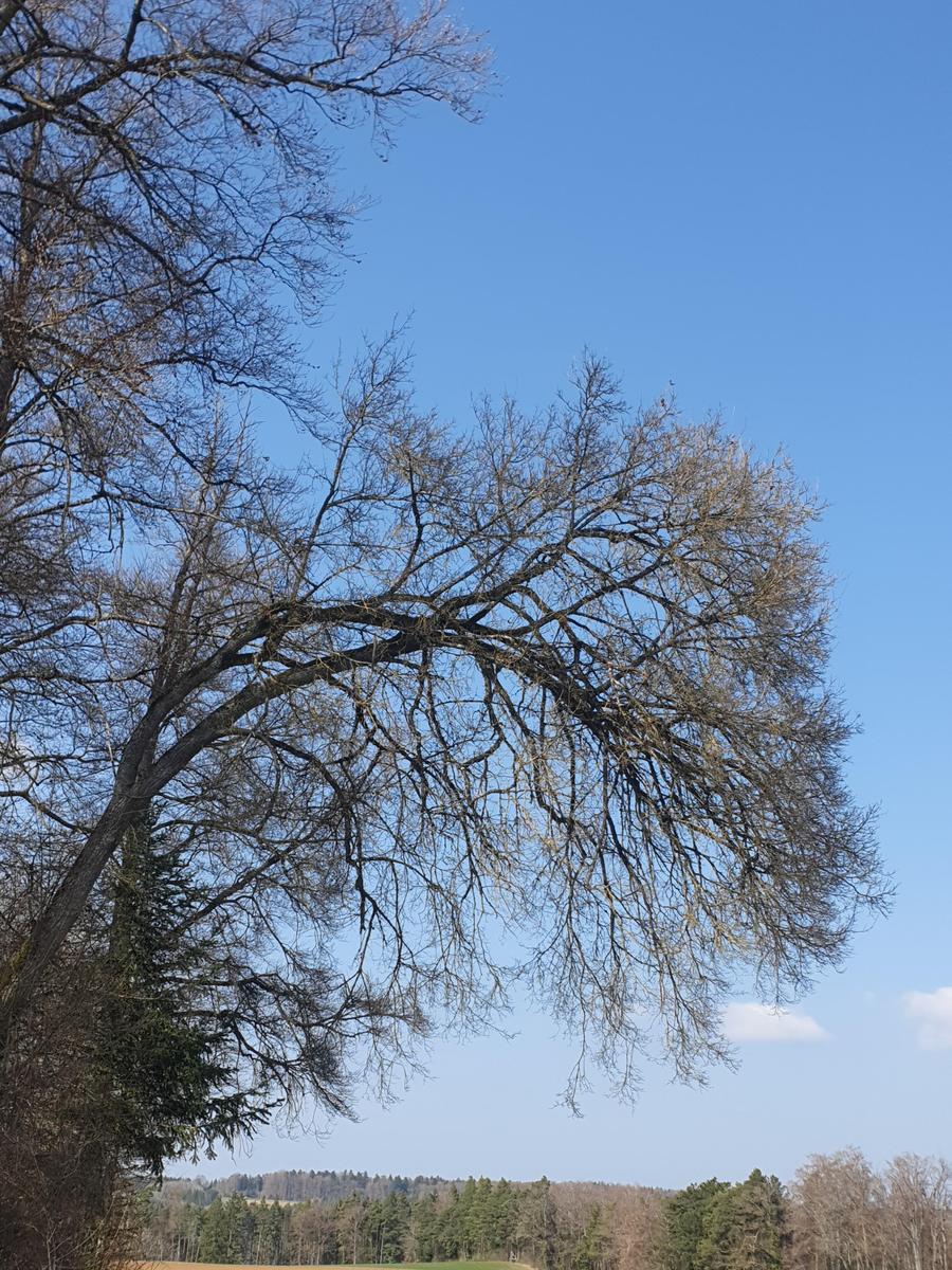 17738367522056836646883584118998