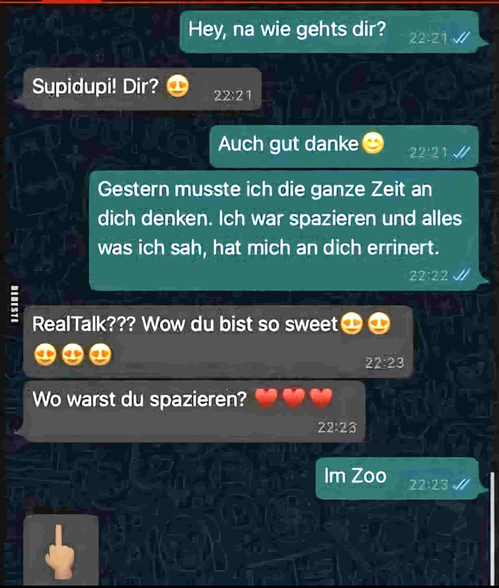 17563678202