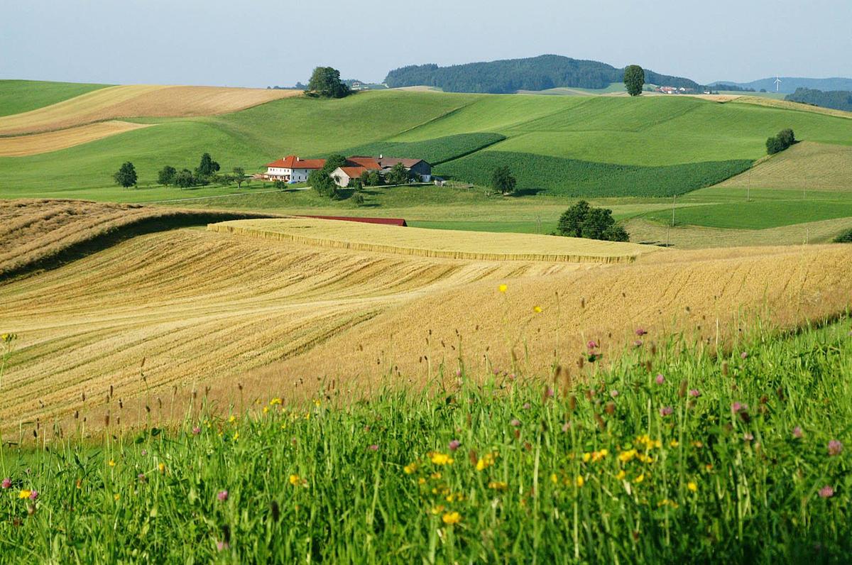 Gesundheitsregion