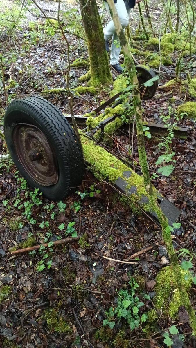 IMG-20250526-WA0003