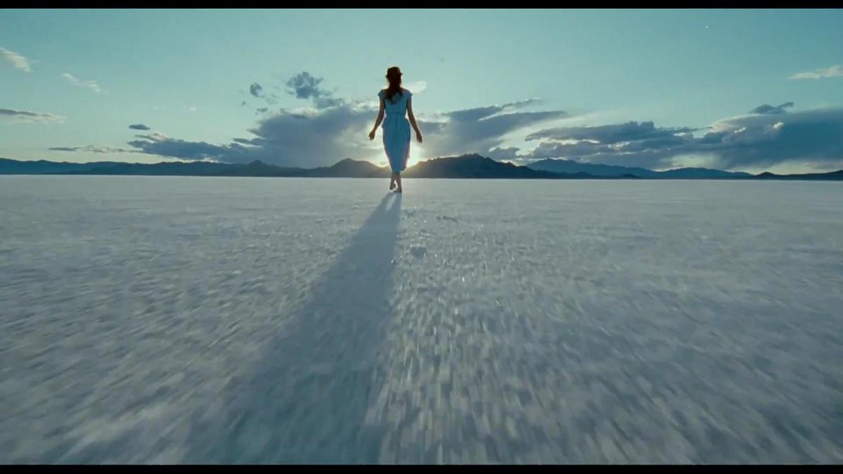 Tree of Life 2011 Terence Malick - Copy