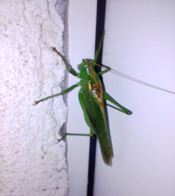 IMG 20251015 122703