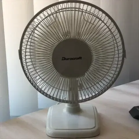 giphy4e84e568589695690.webp