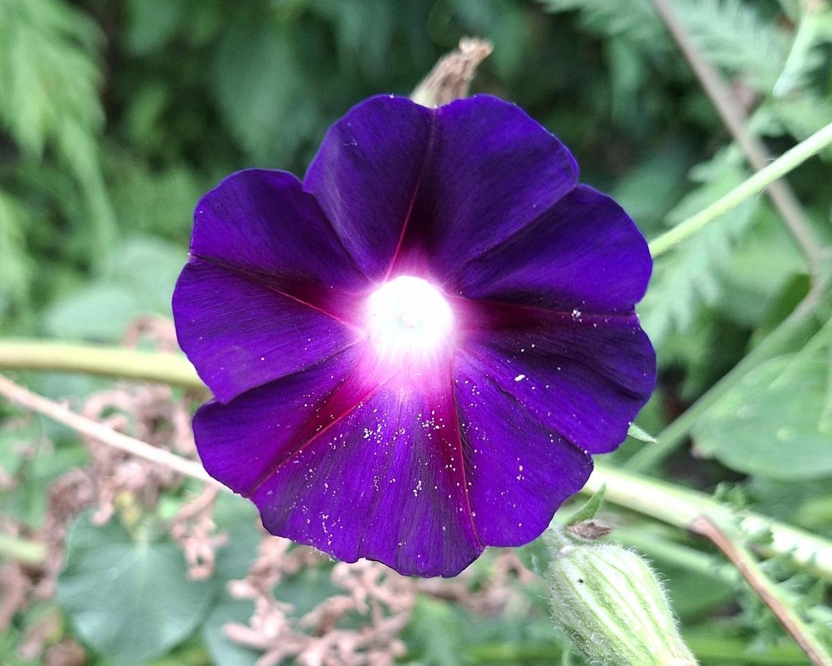 xx01