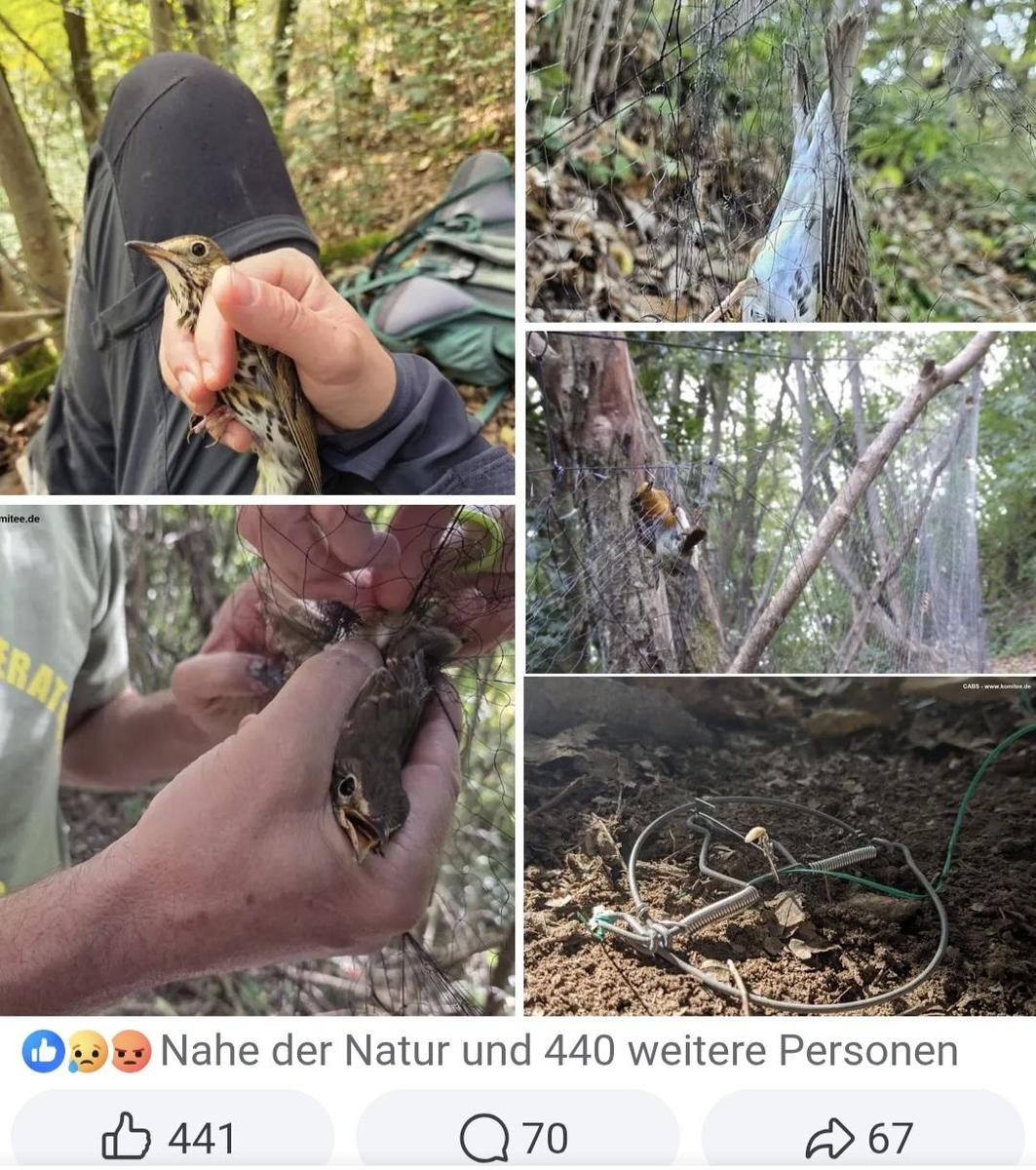 Screenshot 20251102 091818 Chrome