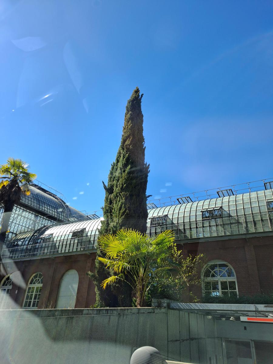Palmengarten 001