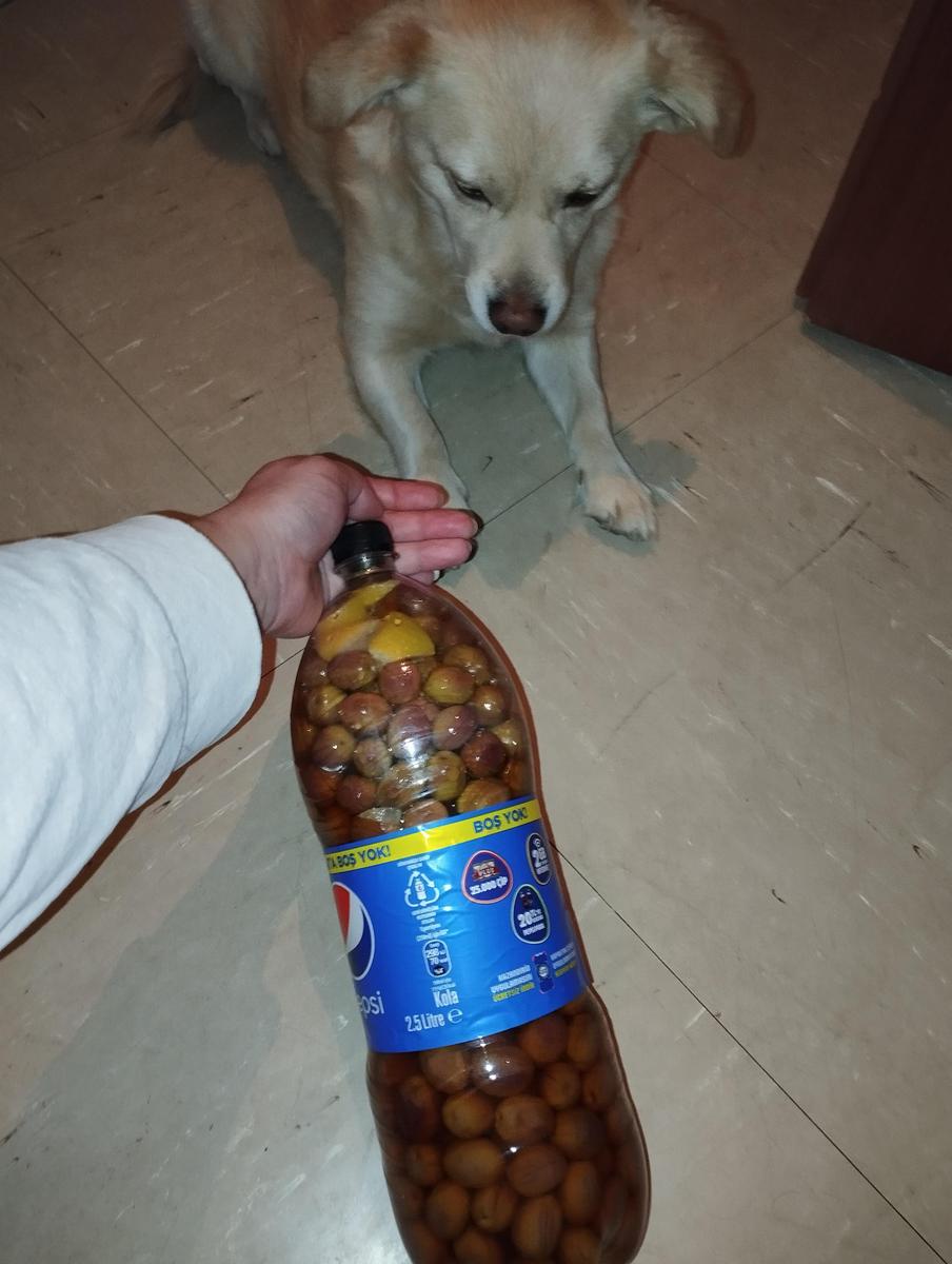 IMG 20240821 191510