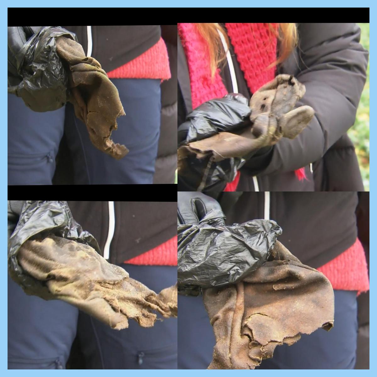 Polish 20251116 202449226