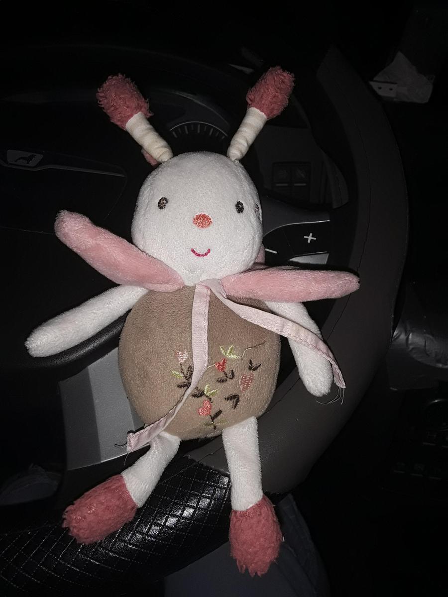 17768293090005424336425258188707