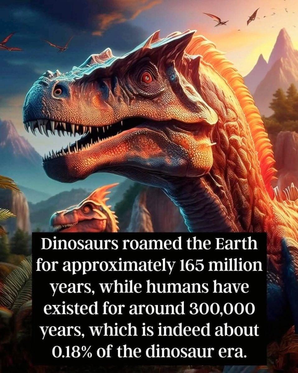 dinos was - Copy