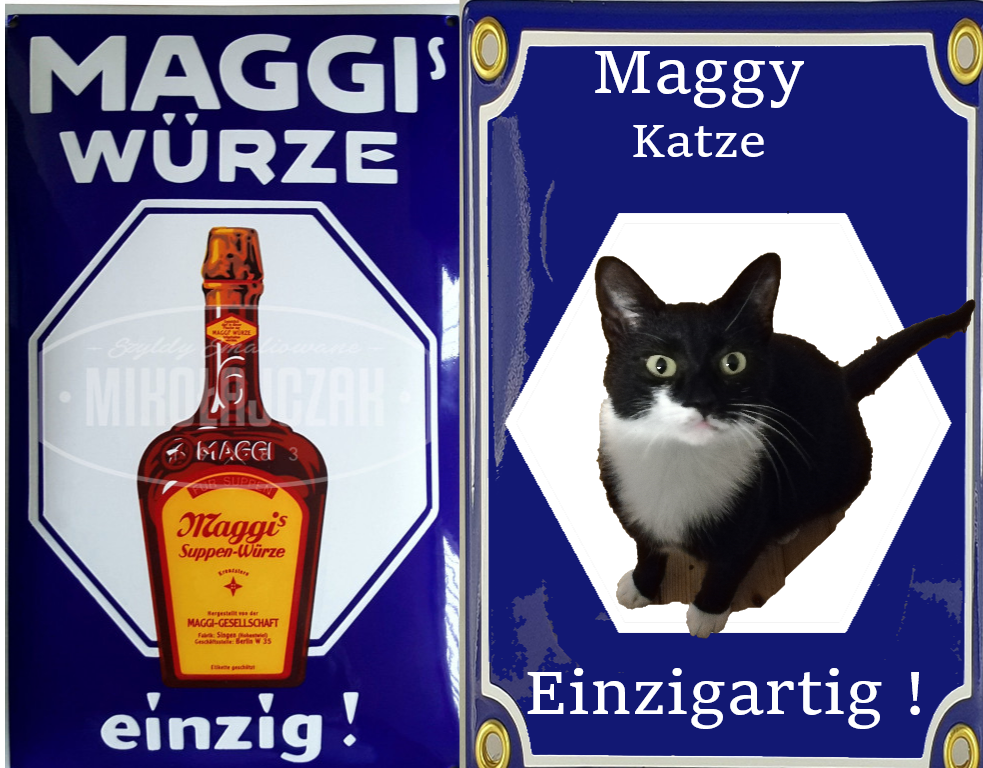 pn hwdcc2zhclsq Maggie WErbung