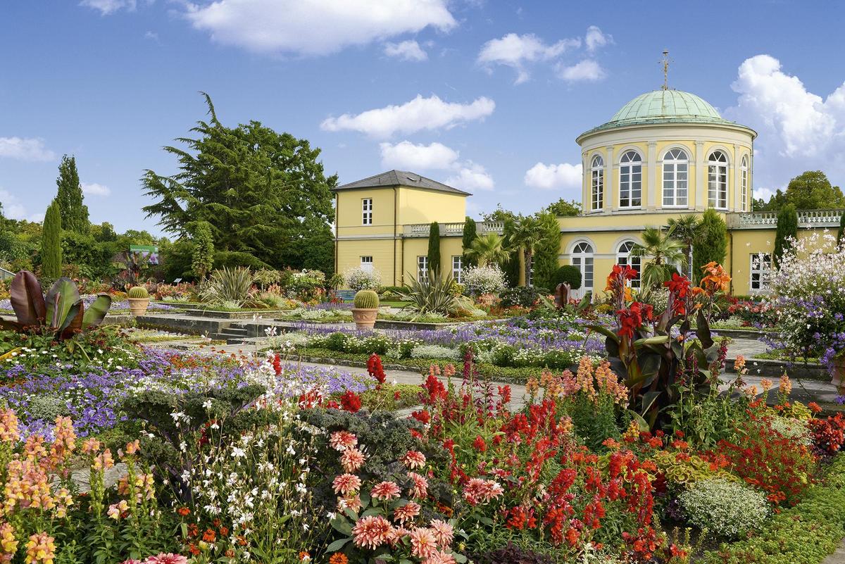 Berggarten-Rosi-Radecke