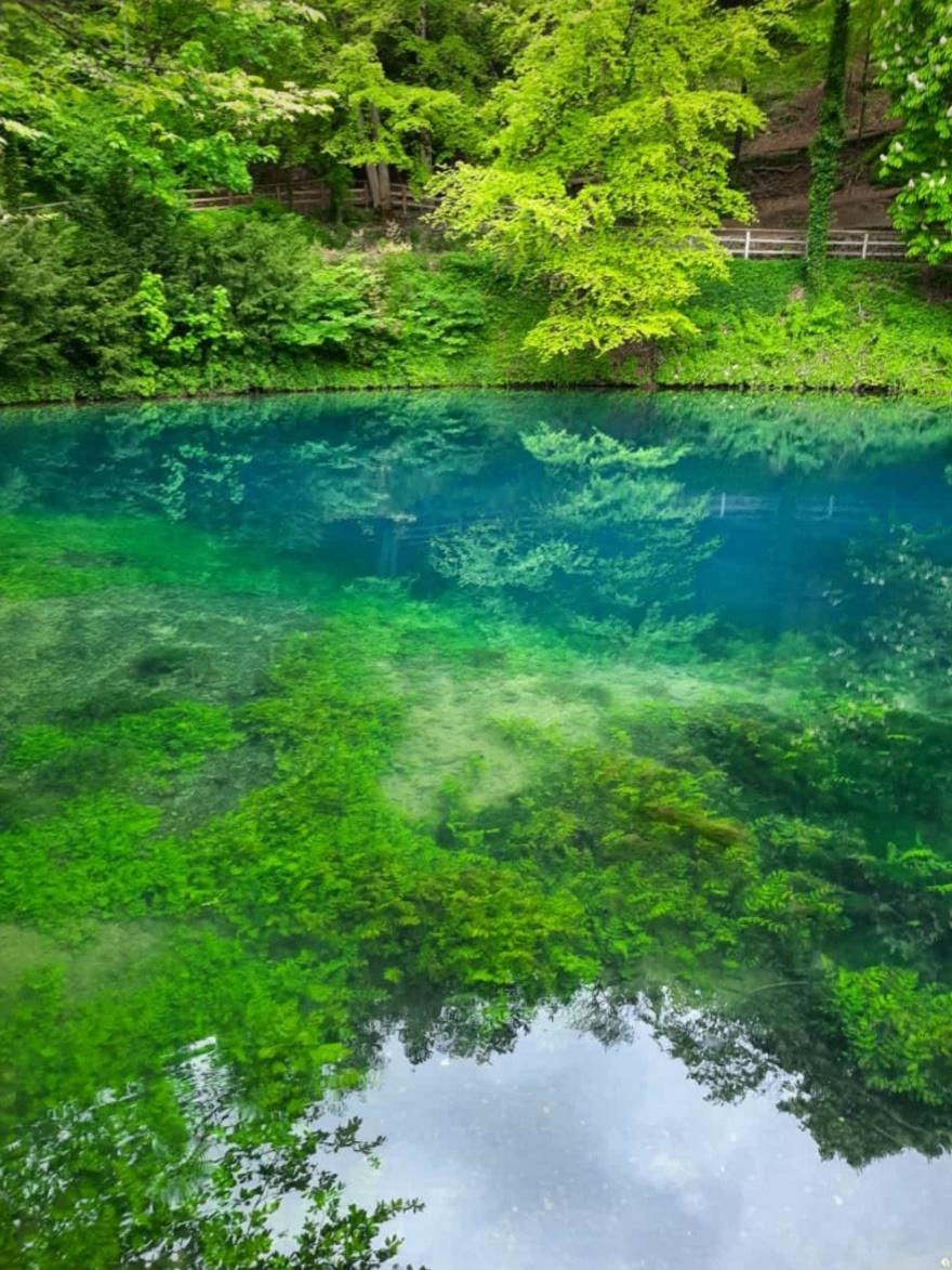 Blautopf im Mai - Kopie