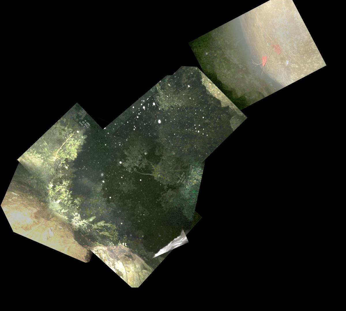 mnwvfpae09ad OverlayAllTueten
