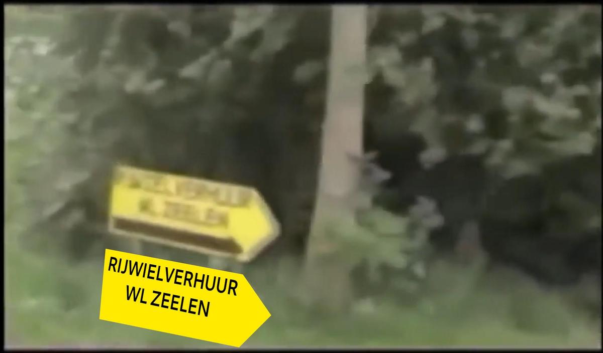 t72fkypxosjm VideoFrame WlZeelen