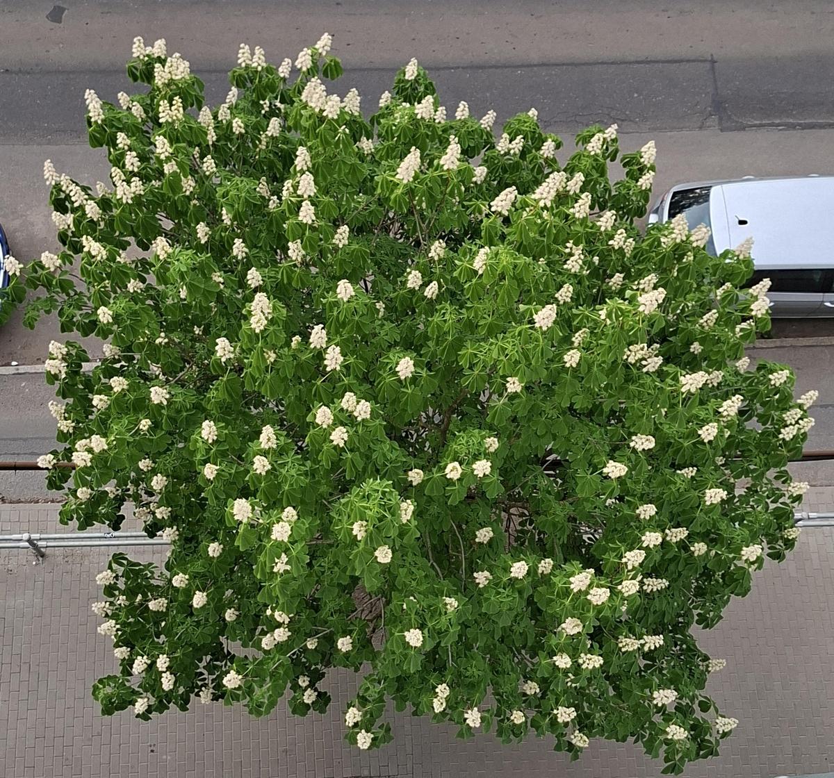 xx01